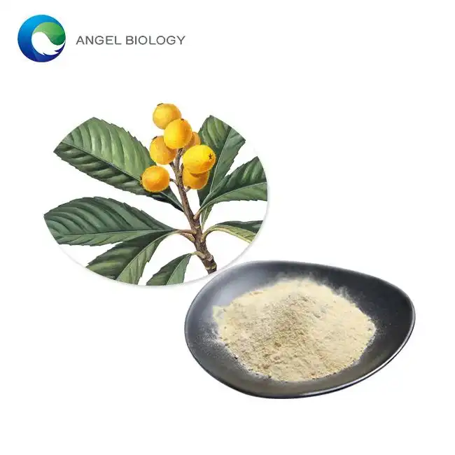 Top Benefits of Ursolic Acid Powder: Anti-Aging, Antioxidant, and More